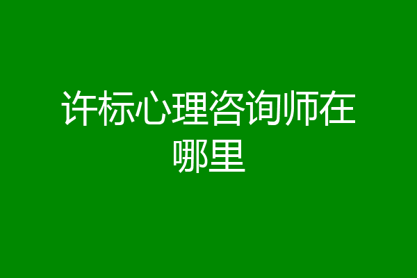 许标心理咨询师在哪里