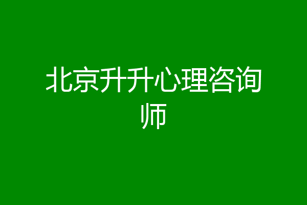 北京升升心理咨询师