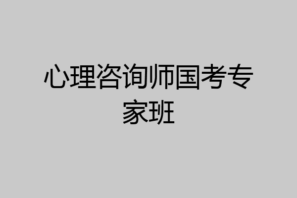 心理咨询师国考专家班