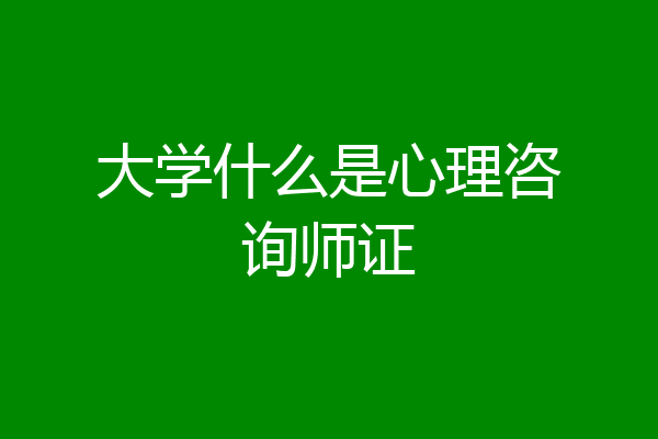 大学什么是心理咨询师证