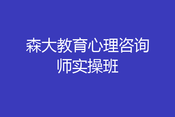 森大教育心理咨询师实操班