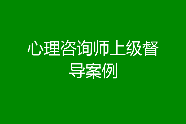 心理咨询师上级督导案例
