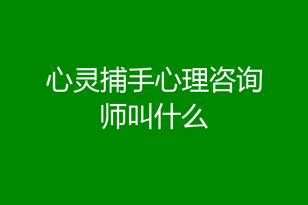 心灵捕手心理咨询师叫什么