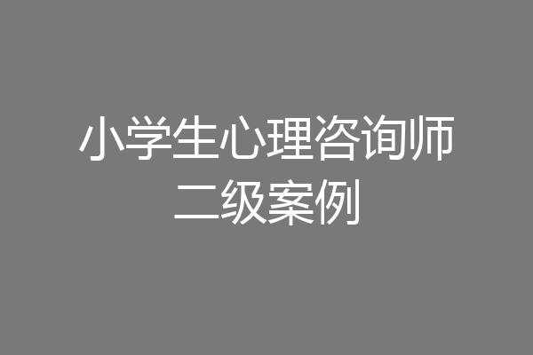 小学生心理咨询师二级案例