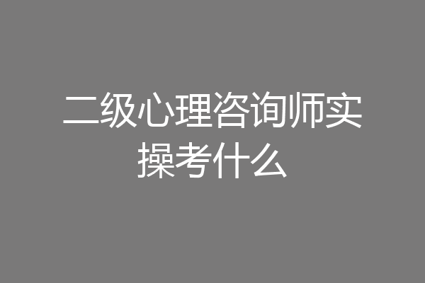 二级心理咨询师实操考什么