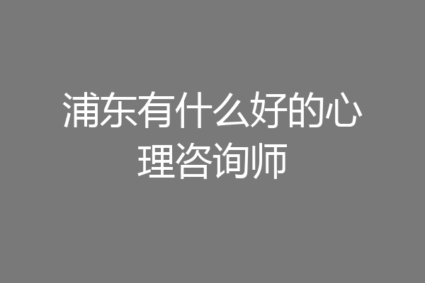 浦东有什么好的心理咨询师