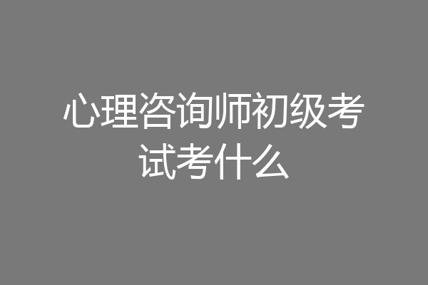 心理咨询师初级考试考什么