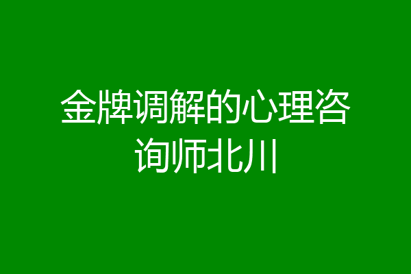 金牌调解的心理咨询师北川