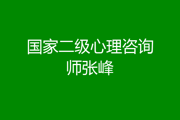 国家二级心理咨询师张峰