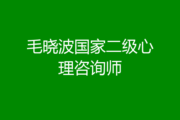 毛晓波国家二级心理咨询师