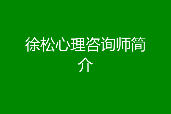 徐松心理咨询师简介