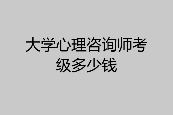 大学心理咨询师考级多少钱