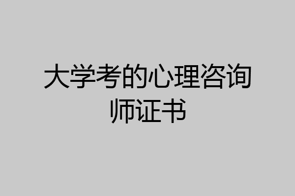 大学考的心理咨询师证书