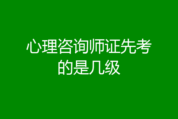 心理咨询师证先考的是几级