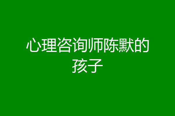 心理咨询师陈默的孩子