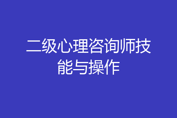 二级心理咨询师技能与操作