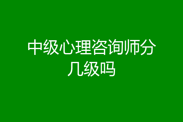 中级心理咨询师分几级吗