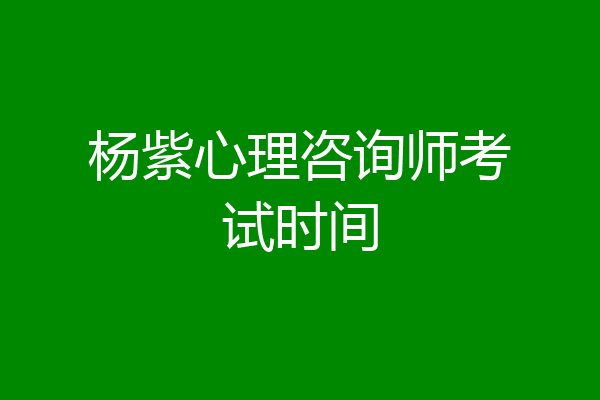 杨紫心理咨询师考试时间