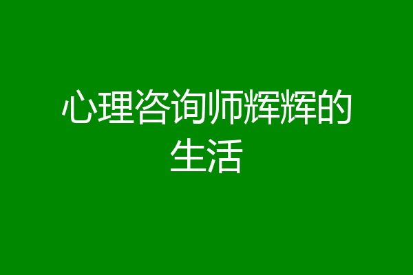 心理咨询师辉辉的生活