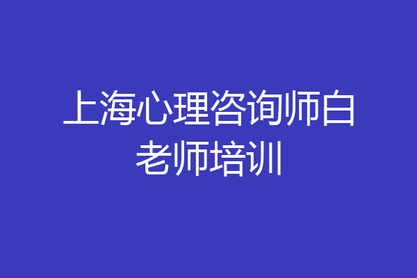 上海心理咨询师白老师培训