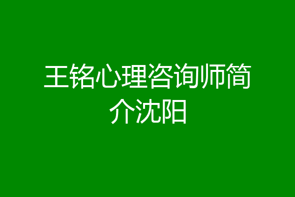 王铭心理咨询师简介沈阳