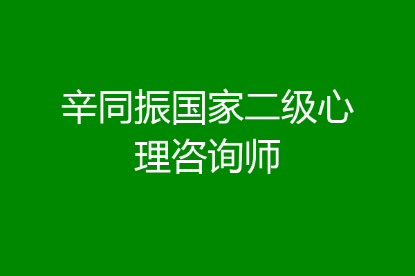 辛同振国家二级心理咨询师