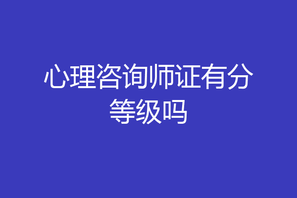 心理咨询师证有分等级吗
