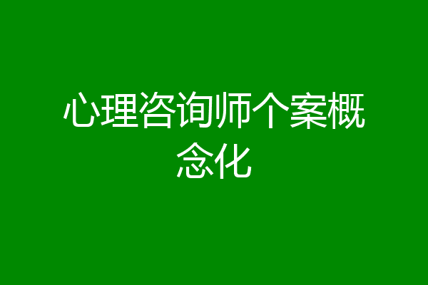 心理咨询师个案概念化