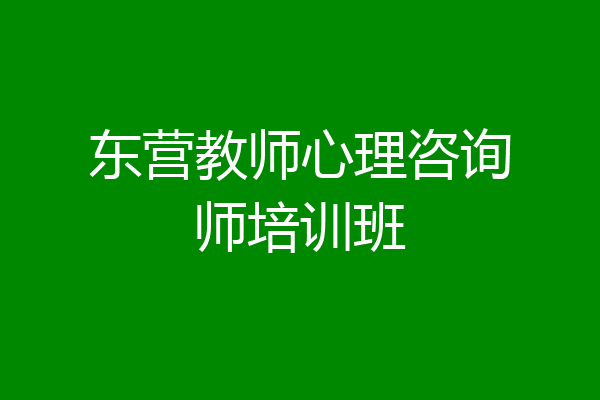 东营教师心理咨询师培训班