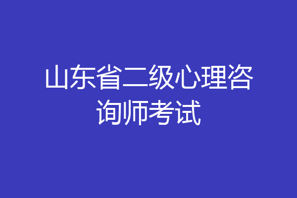 山东省二级心理咨询师考试