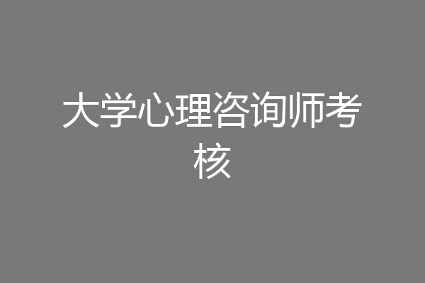 大学心理咨询师考核
