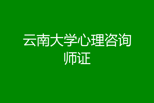 云南大学心理咨询师证