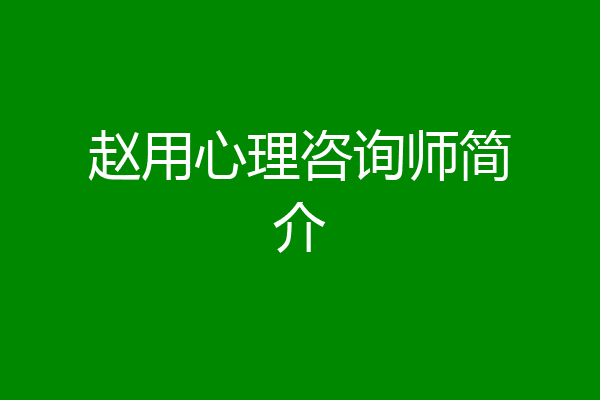 赵用心理咨询师简介