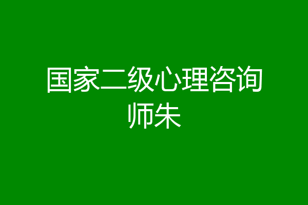 国家二级心理咨询师朱