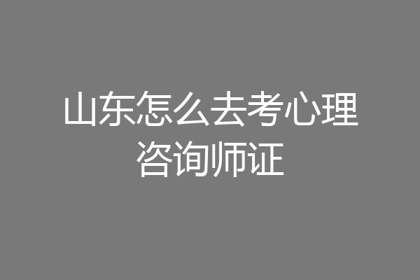山东怎么去考心理咨询师证