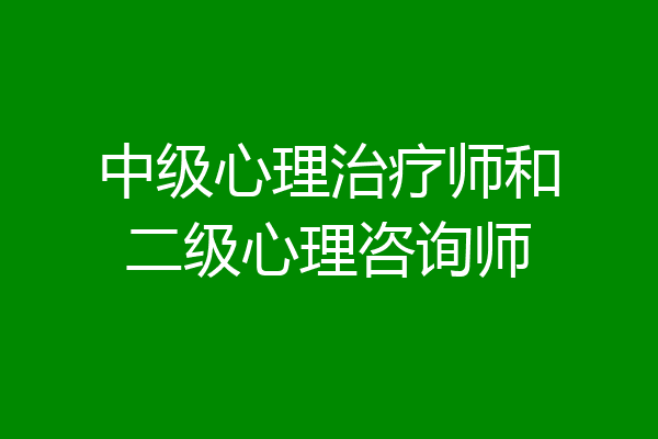 中级心理治疗师和二级心理咨询师