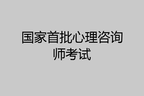 国家首批心理咨询师考试