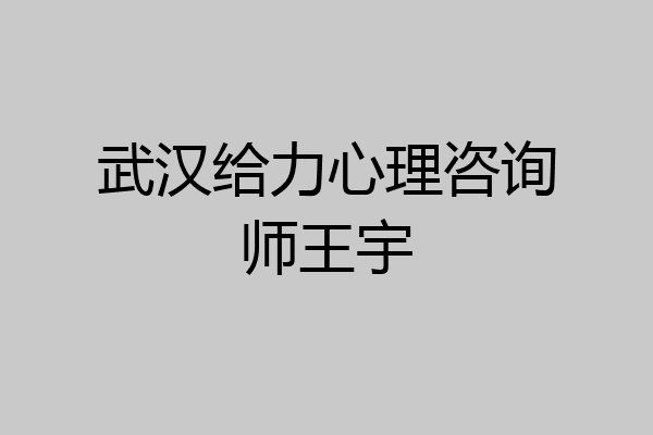 武汉给力心理咨询师王宇