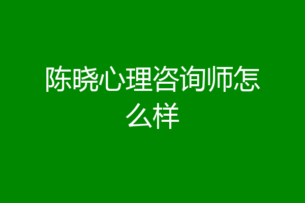 陈晓心理咨询师怎么样