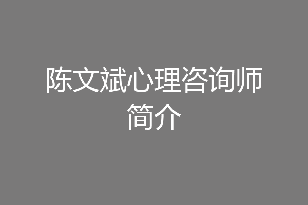 陈文斌心理咨询师简介