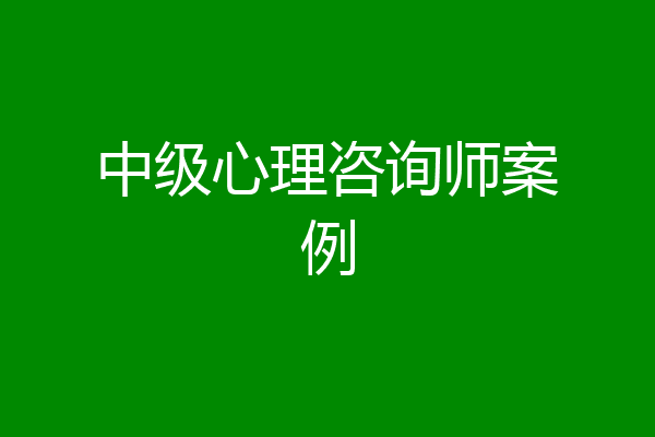 中级心理咨询师案例