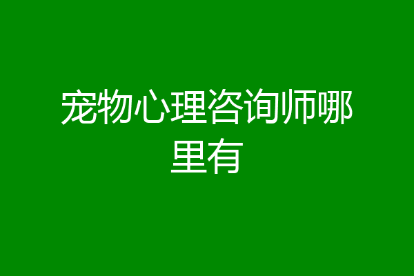 宠物心理咨询师哪里有