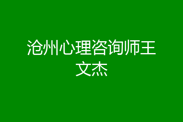 沧州心理咨询师王文杰