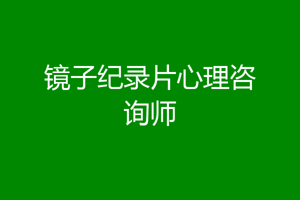 镜子纪录片心理咨询师