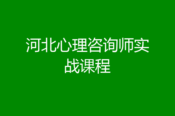 河北心理咨询师实战课程