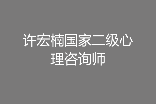 许宏楠国家二级心理咨询师