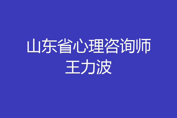 山东省心理咨询师王力波