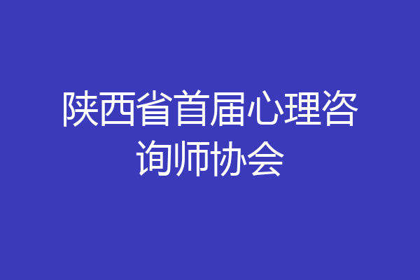 陕西省首届心理咨询师协会