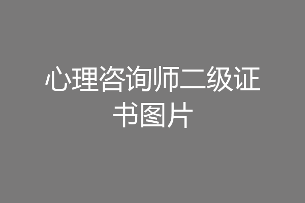 心理咨询师二级证书图片