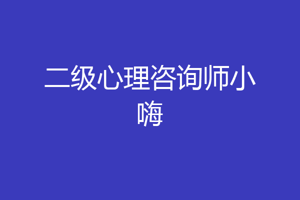 二级心理咨询师小嗨